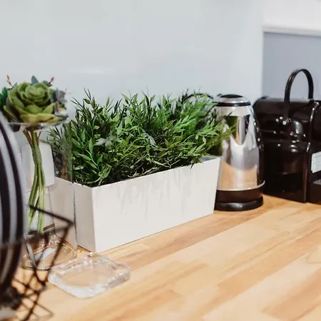 Leo Main Square Daire Krakow